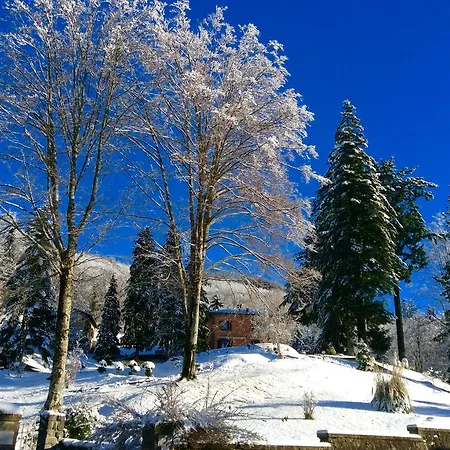 La Casina Dei Leonberger