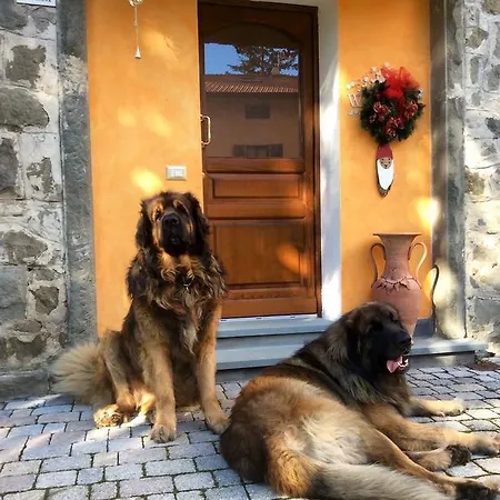 Дом отдыха La Casina Dei Leonberger Сан-Марчелло-Пистойезе