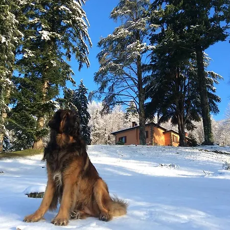 Дом отдыха La Casina Dei Leonberger Сан-Марчелло-Пистойезе